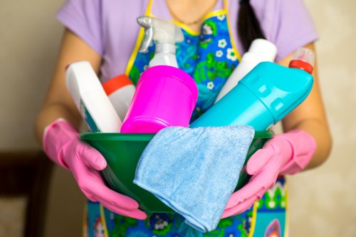 Professional carpet cleaning in a Morden Park home
