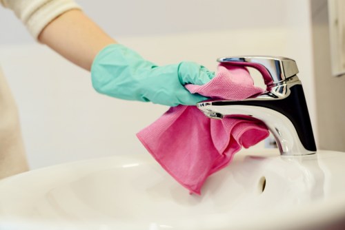 Image showing ethical carpet cleaning operations and responsible business practices