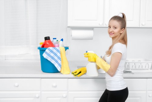 Deep carpet cleaning equipment in Morden Park