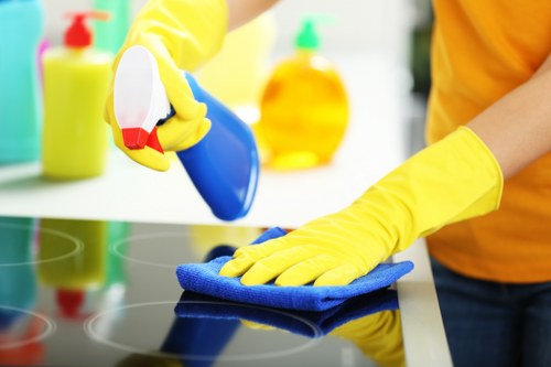 Customer choosing a secure payment method for carpet cleaning