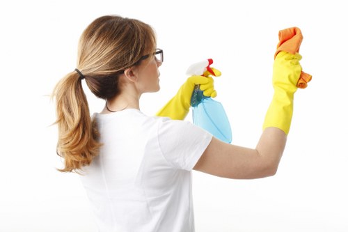 Fresh and clean home after pet stain odour removal
