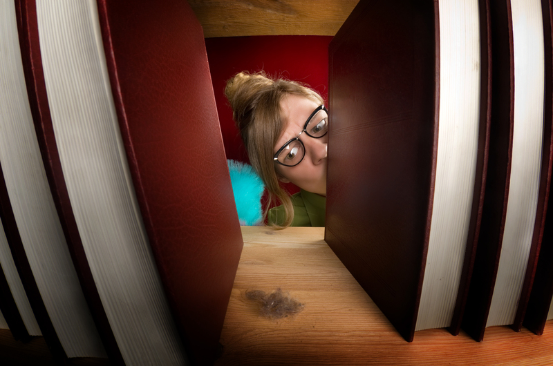 regular cleaning professional cleaners