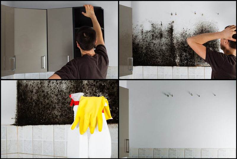 deep cleaning eco-friendly